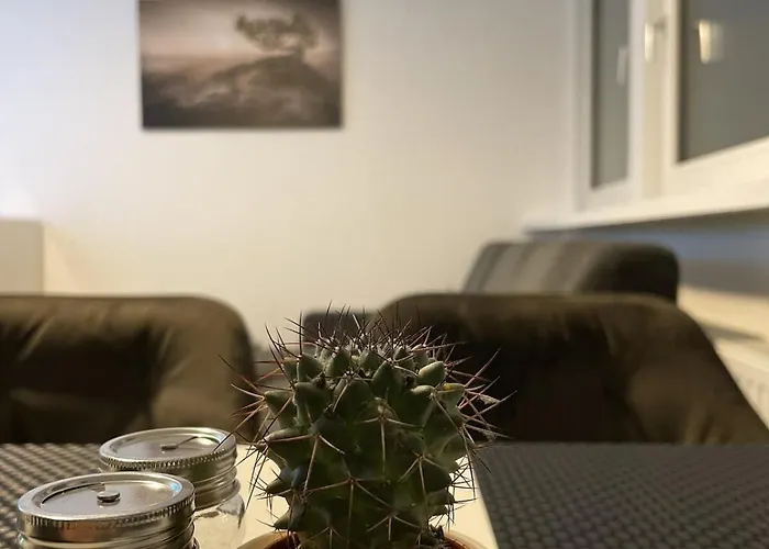 Modern Comfort In 3 Apartment *